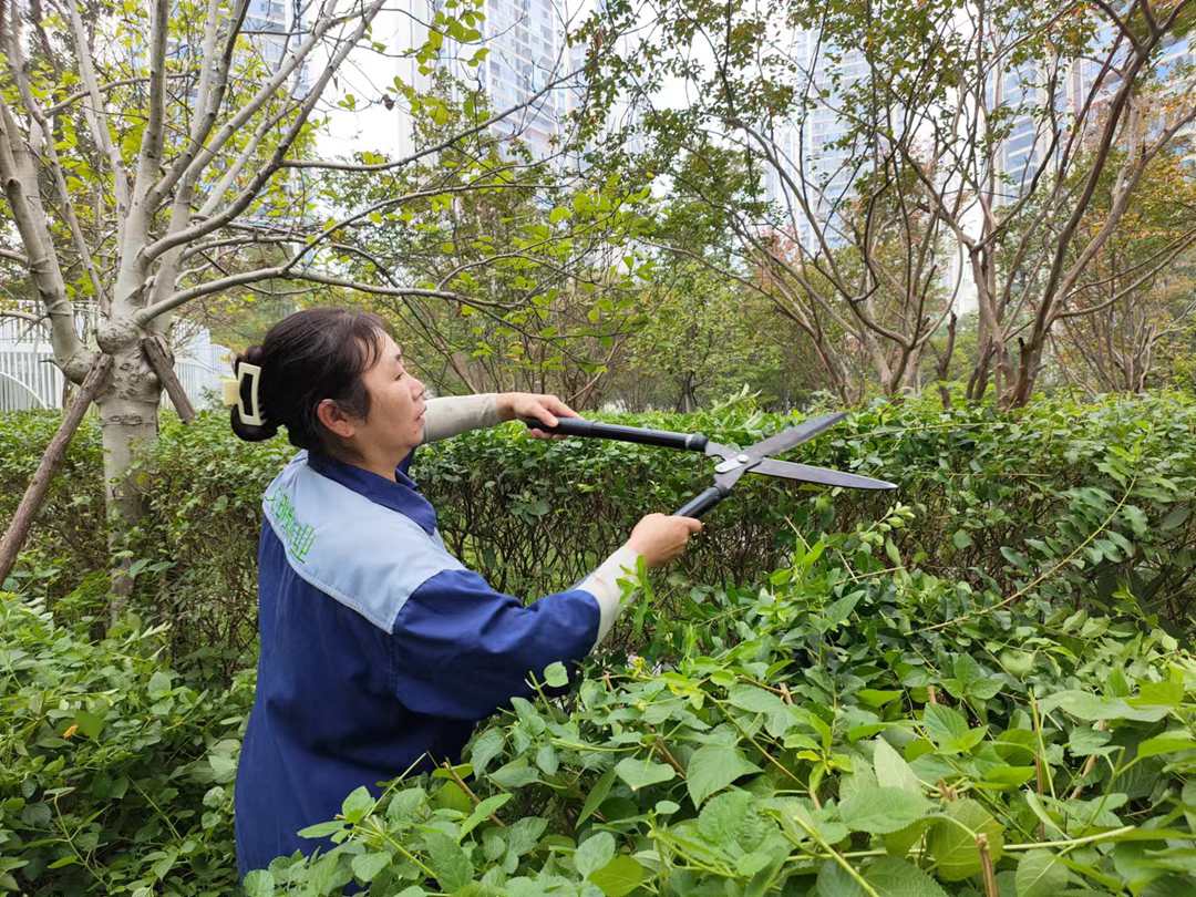 秋日新氣象 | 園區煥新正當時