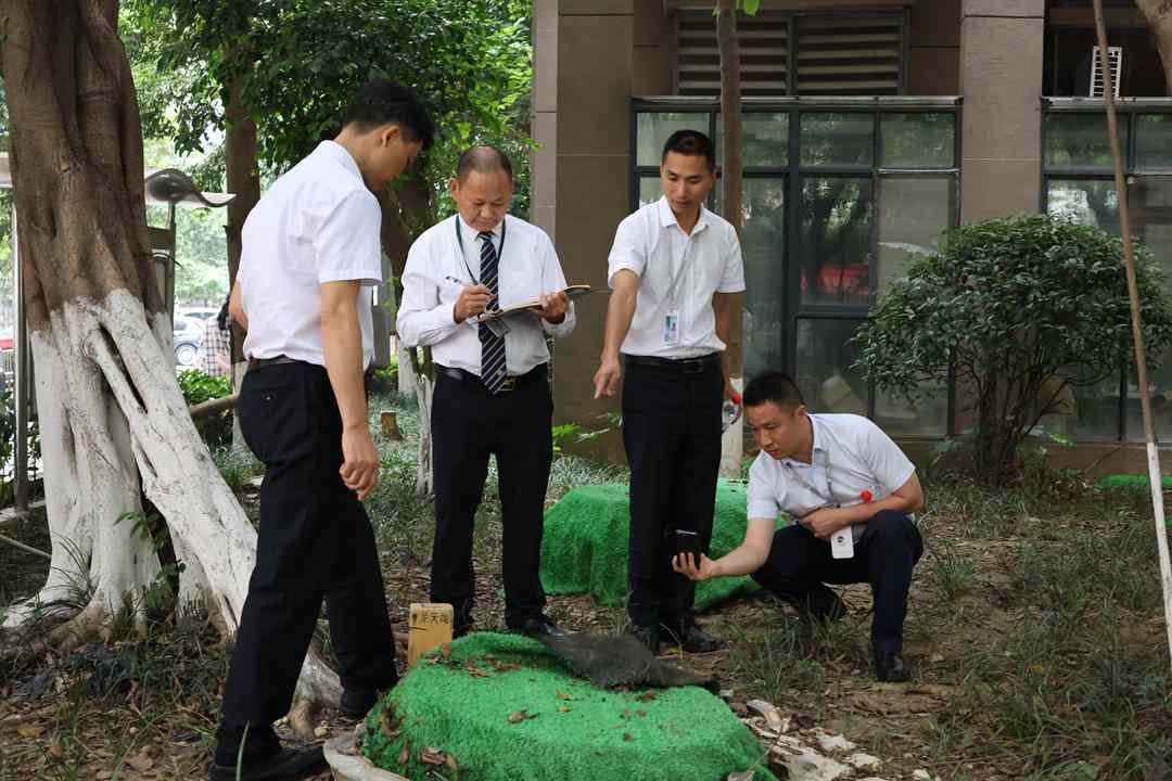 聚焦綜合檢查！艾明物業各項目通過年度安全與品質“大考”