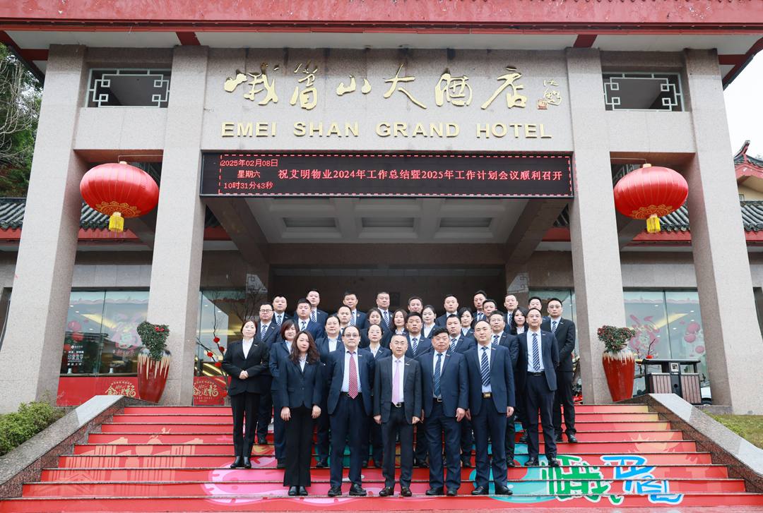 破浪·堅韌篤行 | 艾明公司2024年度工作總結會暨2025年度工作計劃會圓滿召開